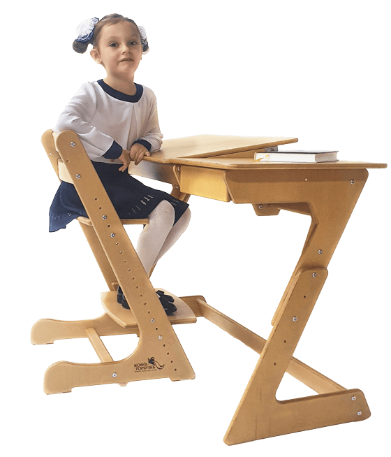 Идеальный стул для школьника – нюансы выбора — мебельная фабрика Конёк Горбунёк™