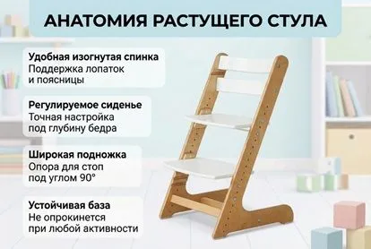 Анатомия растущего стула