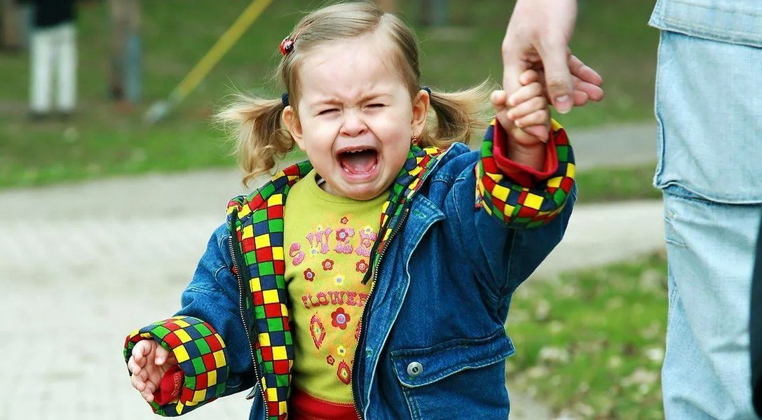 Изображение — 12.05.2023 5 12.05.2023 5