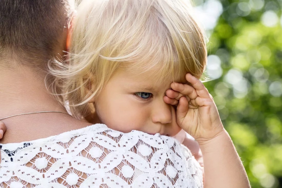 Изображение — 12.05.2023 6 12.05.2023 6