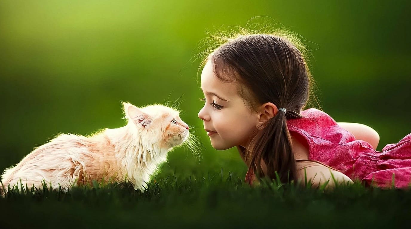 дети и животные